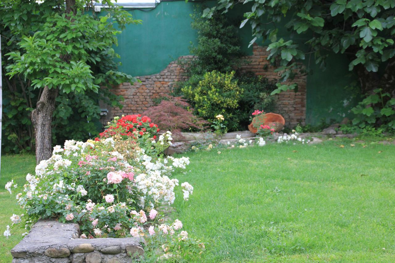 Villa Kursa Sighnaghi Exteriör bild